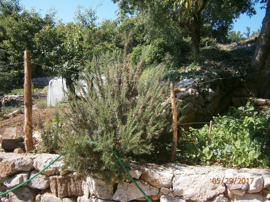 Holiday Home Loznati 茨雷斯 外观 照片