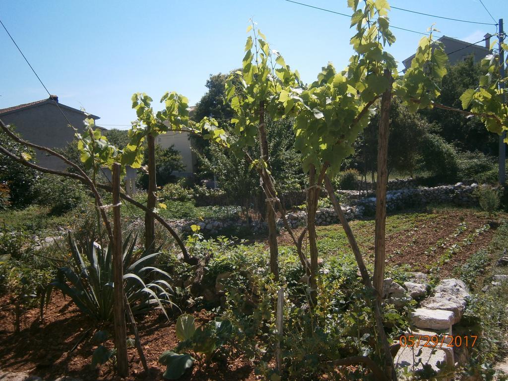 Holiday Home Loznati 茨雷斯 外观 照片