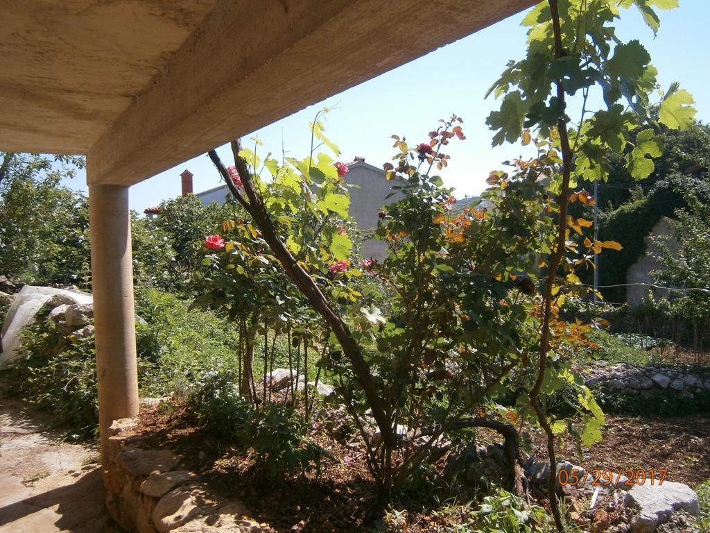 Holiday Home Loznati 茨雷斯 外观 照片