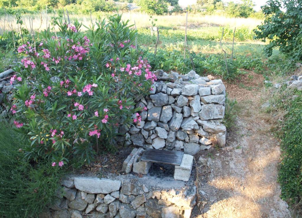 Holiday Home Loznati 茨雷斯 外观 照片