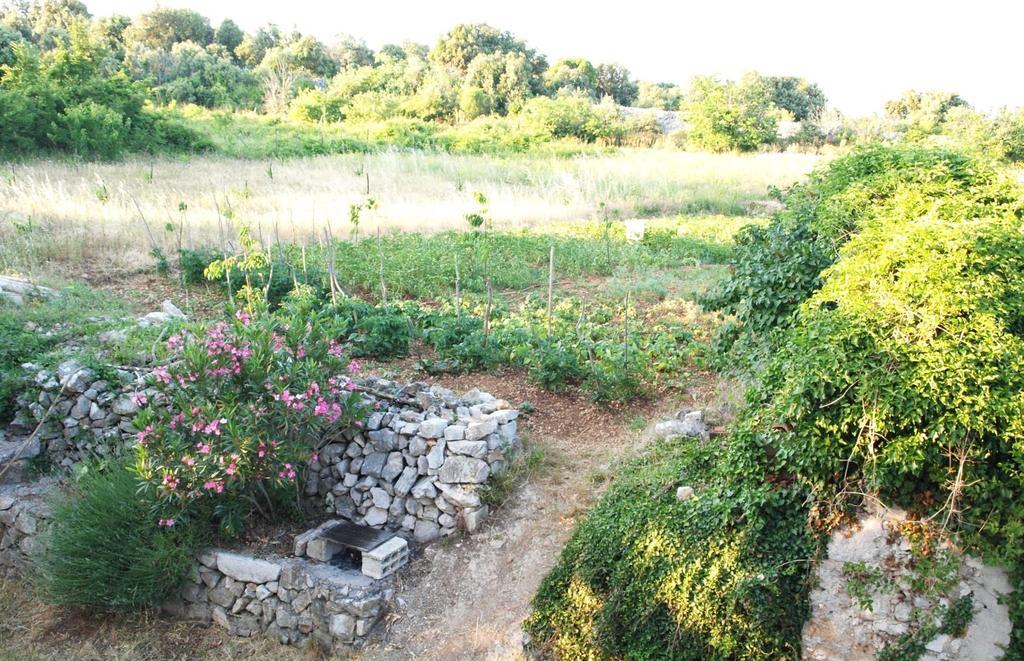 Holiday Home Loznati 茨雷斯 外观 照片
